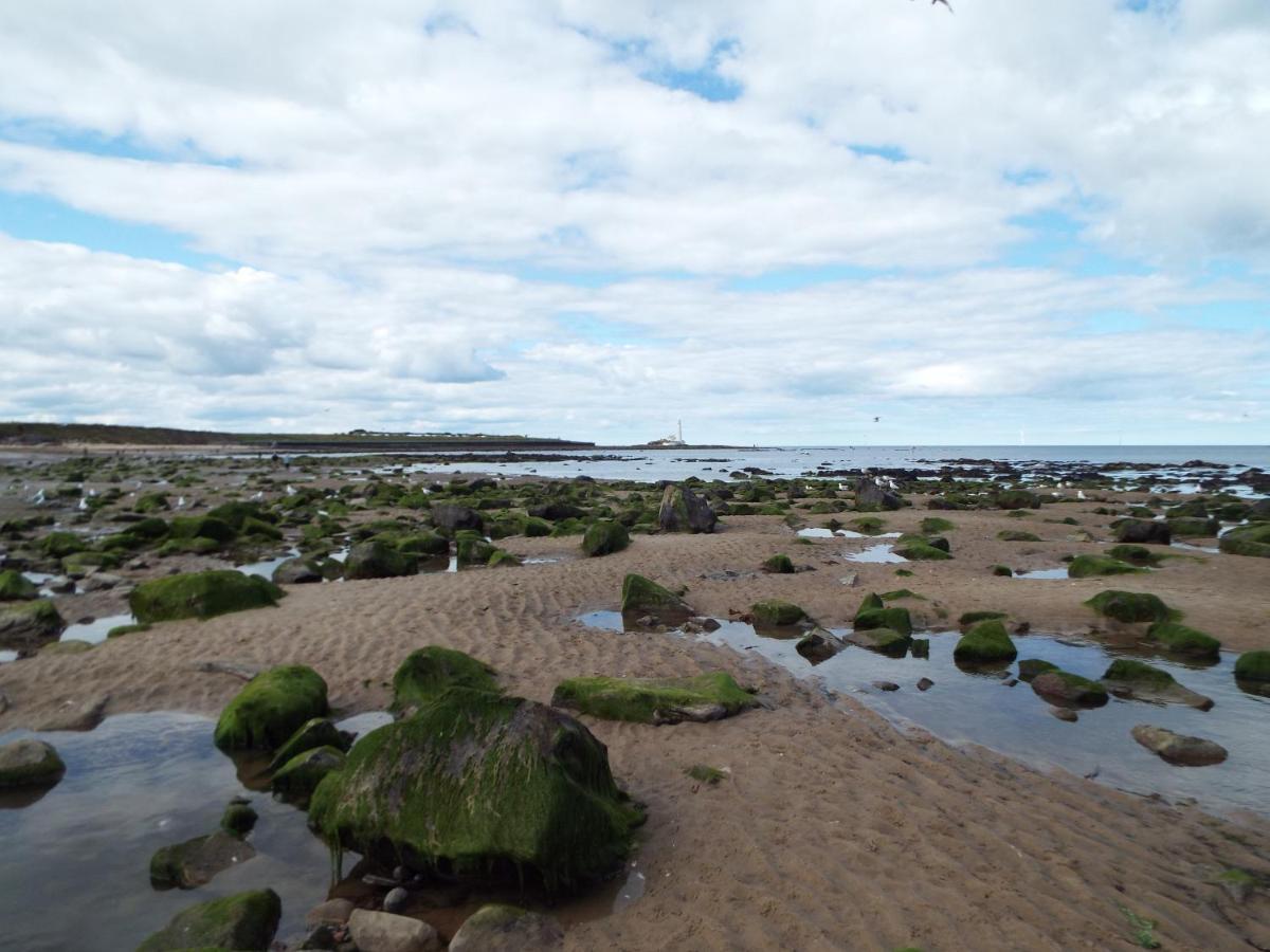 Boquhanran Caravan, Whitley Bay Hartley ภายนอก รูปภาพ